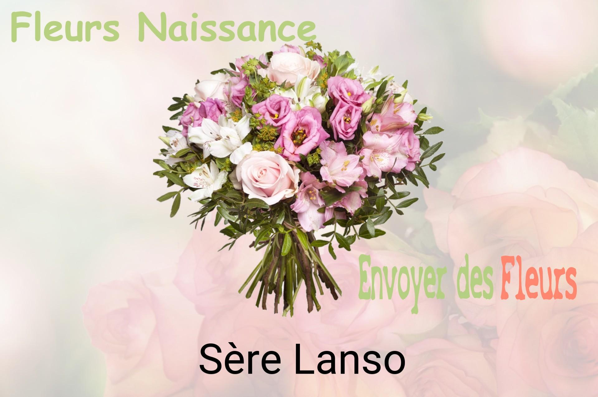 Bouquet de fleurs de naissance livré à Sère-Lanso
