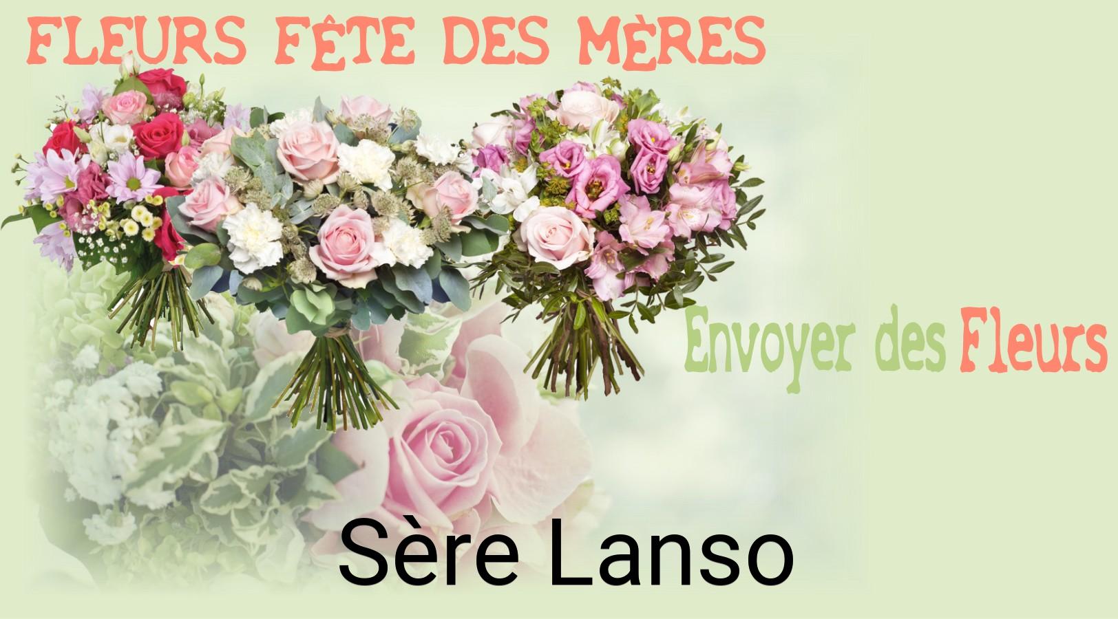 Bouquet de Fête des Mères livré à Sère-Lanso